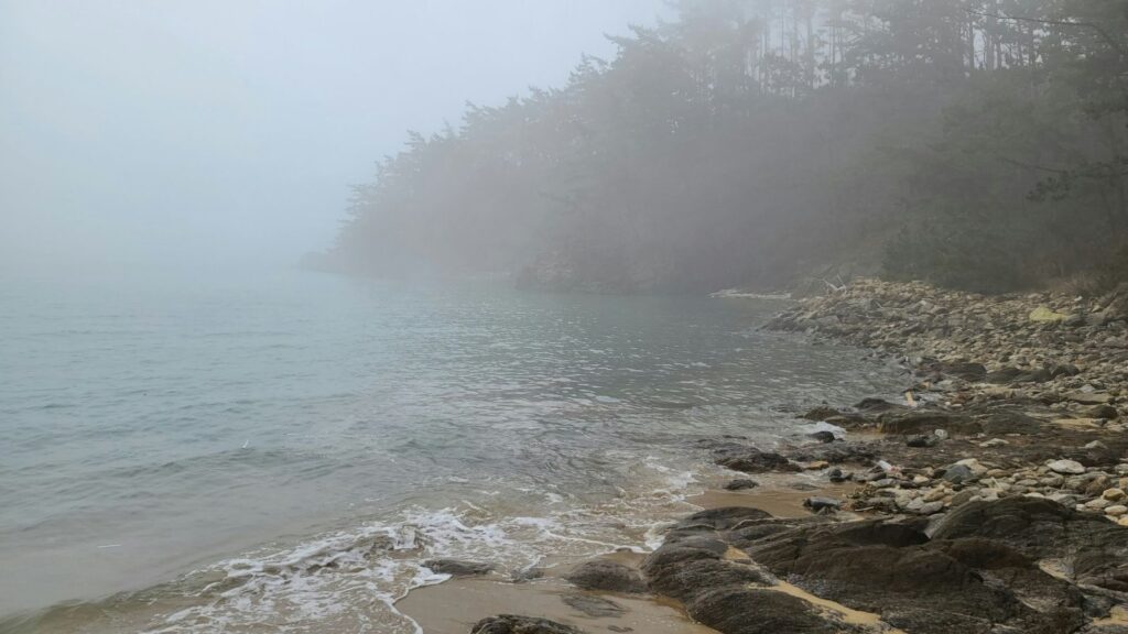 Foggy shoreline with calm water and rocks as waves gently reach the shore.