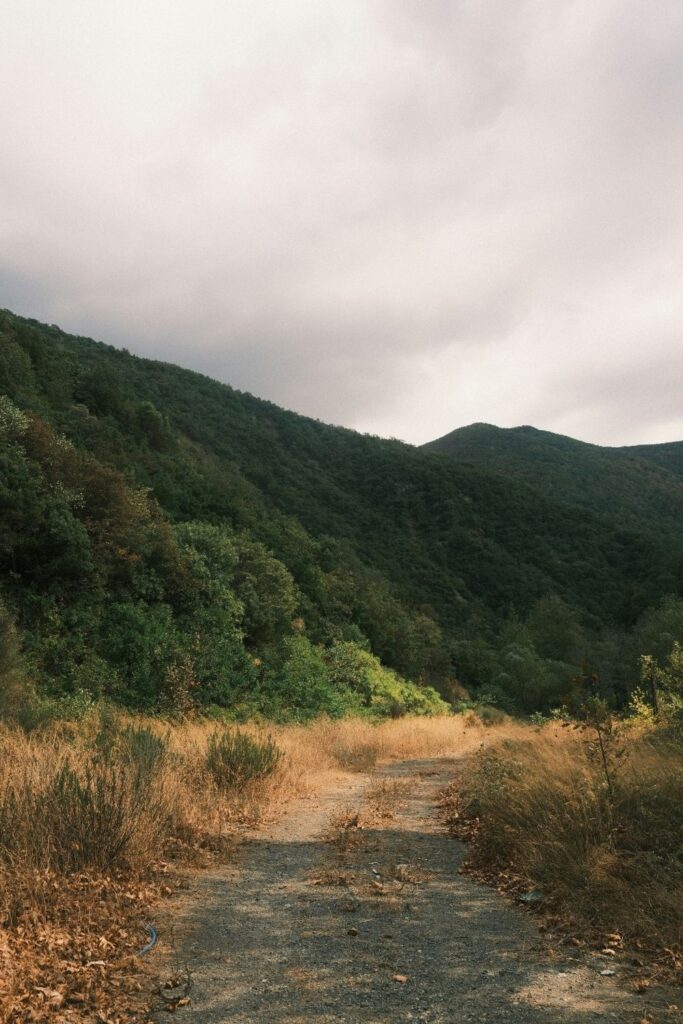 A narrow dirt path through a grassy landscape under an overcast sky.