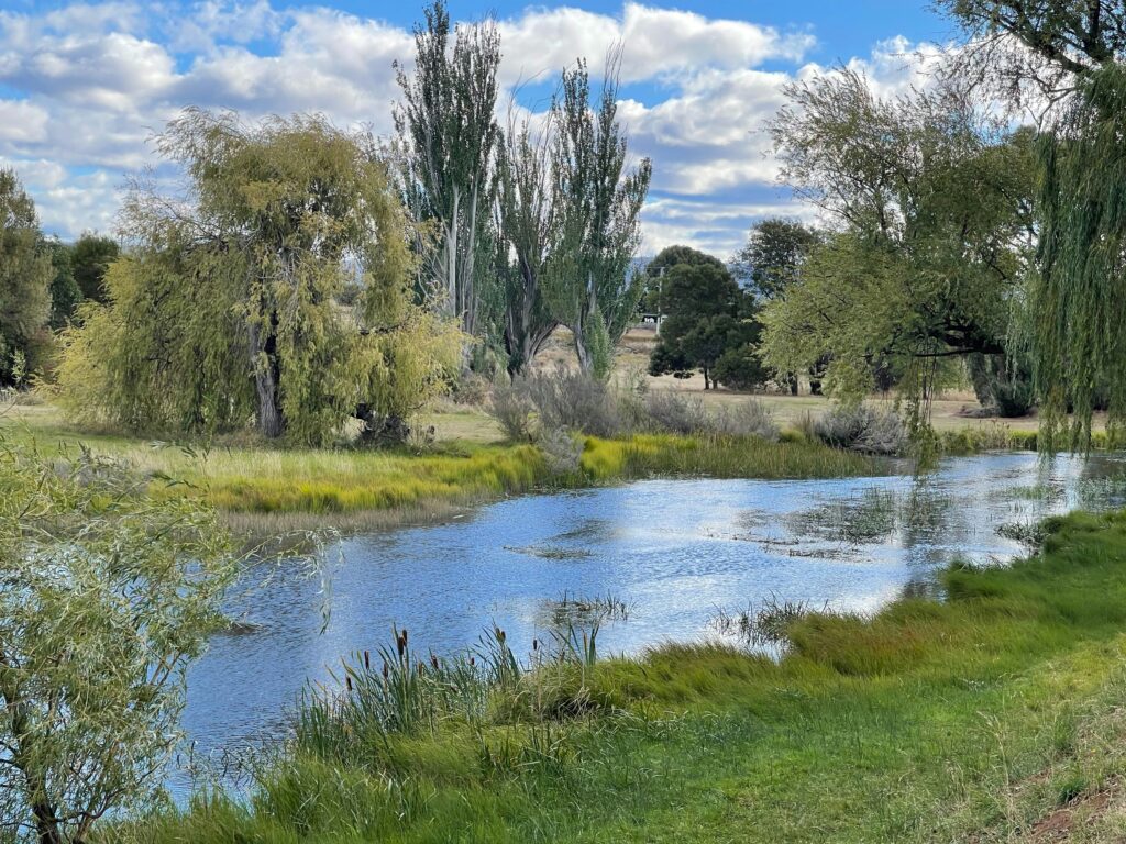 A calm body of water bordered by green grass and trees under a partly cloudy sky