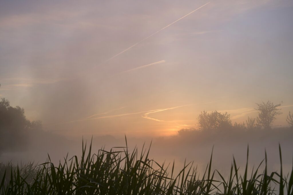 Morning light breaking through fog over a quiet field with tall grass in the foreground, symbolizing gradual clarity after grief.